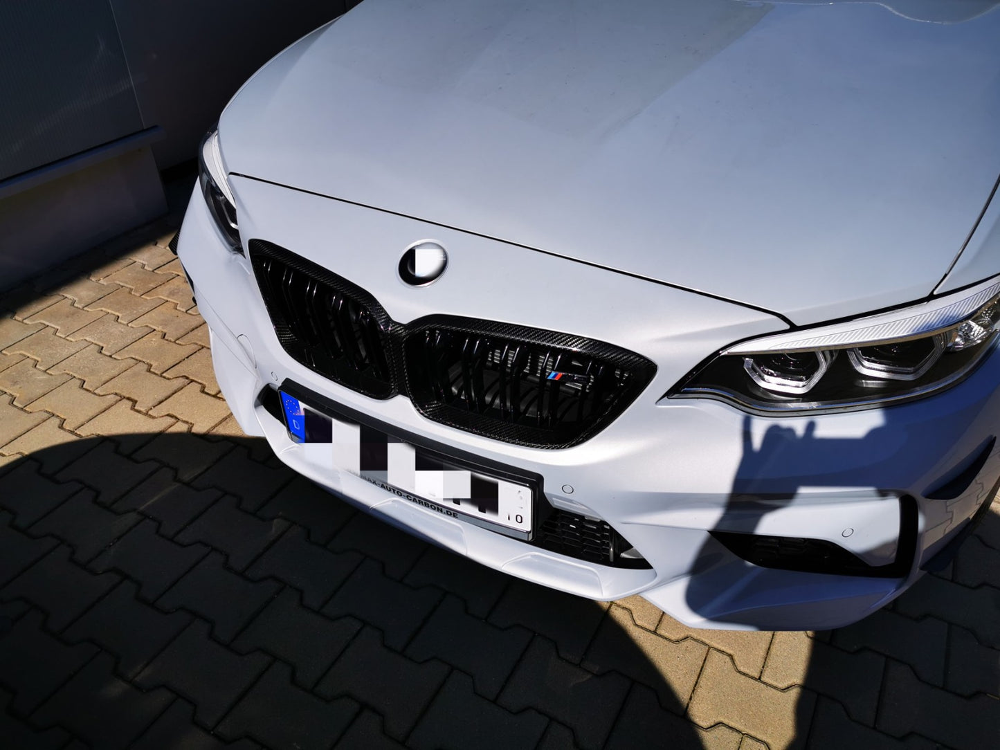 MAX CARBON Performance grille replacement for BMW M2 F87 Competition CS